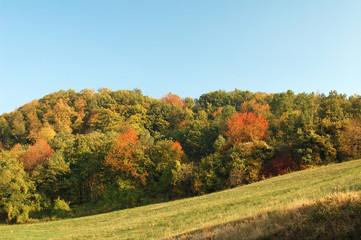 Le colline di Maranello