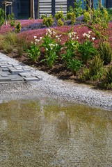 Private Condo Garden