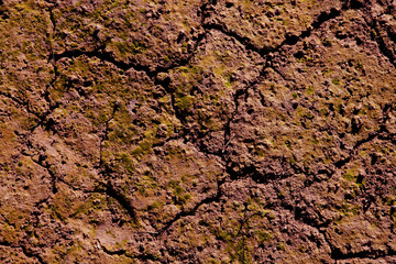 Dried cracked red clay natural soil