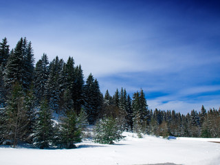 Winter landscape ,Serbia,Kopaonik