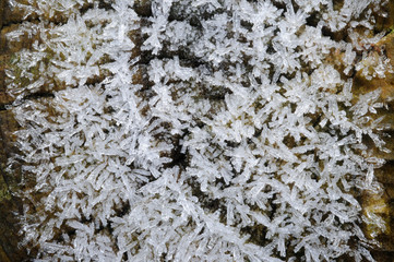 Ice Crystals follow wood grain