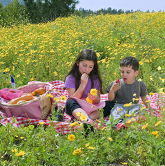 boy girl picnic