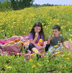 Rolgordijnen boy girl picnic © Noam