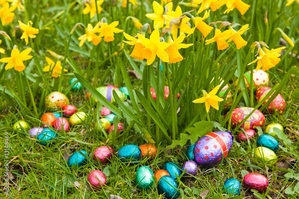 Wall mural easter eggs with daffodils