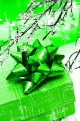 green gift box and branch of winter tree
