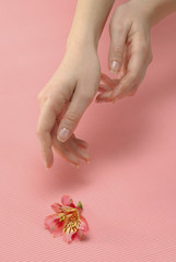 Woman hand and flower
