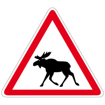 Elch Schild