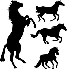 Set of horse silhouette collection
