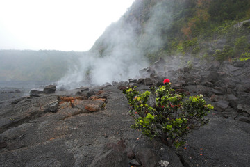 Crater bottom