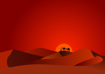Fototapeta na wymiar desert sunset