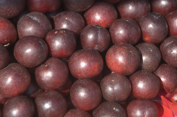 Ciruelas rojas 01