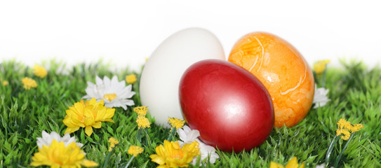 Fototapeta na wymiar Red Easter egg w Focus