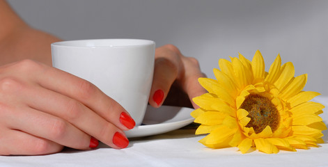 Woman hands and coffee cup
