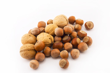 Walnuts and hazelnut on a white background
