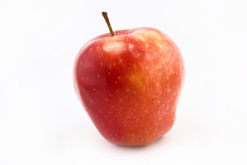 apple on a white background