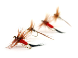 Four trout flies