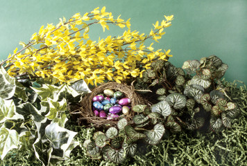 Birds nest with wrapped chocolate eggs and greenery