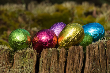 Easter eggs in a line on tree stump