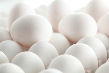 Eier_weiss_Huehnereier_Massenaufnahme