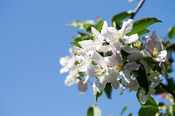 Frühling ist da!