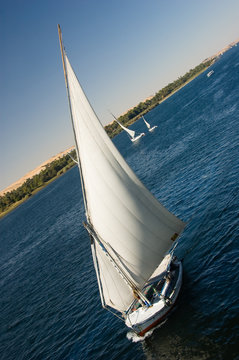 Felucca Sail Boat