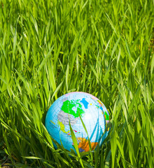 Fototapeta na wymiar globe w trawie