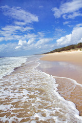 Sandy beach coastline