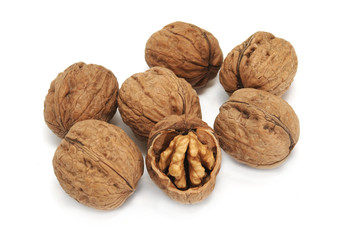 nueces