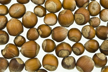 Hazelnuts background