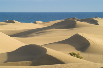 Sand dunes and sea