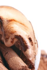 Obraz premium Chocolate ice cream