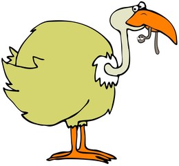 Bird With A Worm