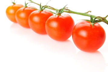 Tomatos