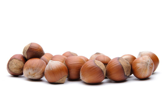 Hazelnuts