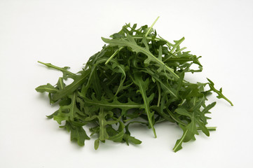 Rucola