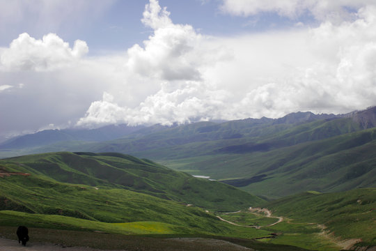 Col Nuri La - 4 630 m - Tibet