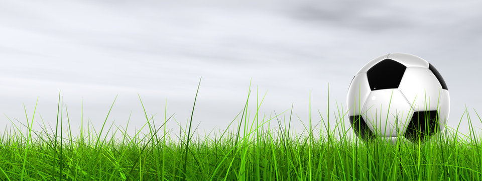 3d leather black and white soccer ball on green grass