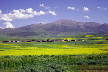 Tibet oriental