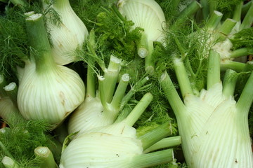 Fenouil