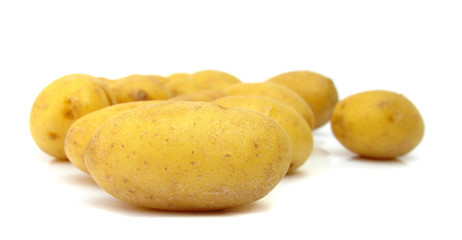Potato