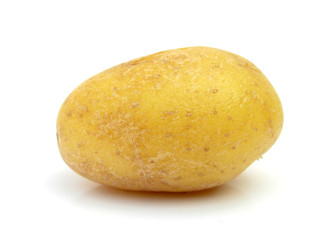 Potato