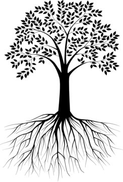 Tree silhouette illustration