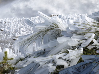 hielo