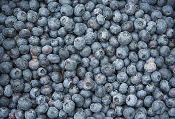 Blueberries