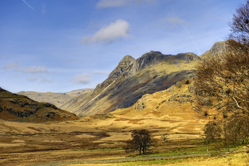Langdale Pikes landscape