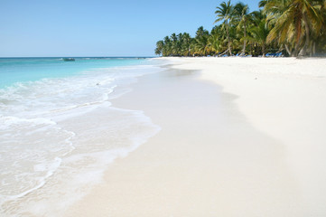 Tropical Sand Beach, Caribbean Ocean and Palm Trees