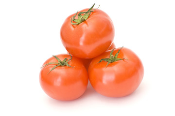 fresh tomatoes