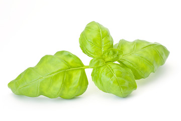 sprig of fresh basil