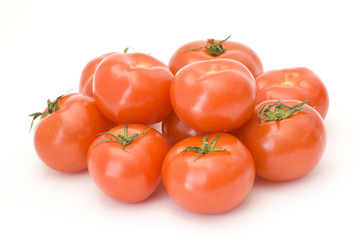 fresh tomatoes