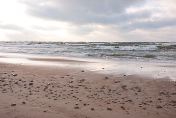 Baltic Sea shore